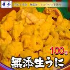 うに 100g 雲丹 冷凍生うに 無添加 ミョウバン不使用