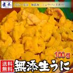 うに 100g 雲丹 冷凍生うに 無添加 ミョウバン不使用 AAグレード ウニ 安心・安全 丼2杯分 寿司 北海丼 在宅 母の日 父の日 敬老 在宅 中元 お歳暮 ギフト　