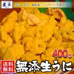 うに 雲丹 冷凍生うに 無添加 400g（1