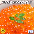 イクラ 本いくら 醤油漬け400g入り ロシア産 安価な鱒子ではありません 業務用 食品 おかず お取り寄せ ポイント利用 お試し商品 サンプル