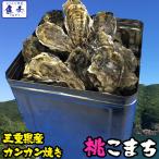 伊勢神宮奉納 殻つき牡蠣 カキ 桃こまち 伊勢湾産 7キロ(約75個)  訳あり カンカン焼き BBQ 牡蠣 ナイフ 軍手付