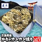 ショッピング訳あり 広島産 殻付き牡蠣 訳あり 3キロ(約30個) カンカン焼き カキ かき 宮島 BBQ ナイフ 軍手付 ギフト 取り寄せ