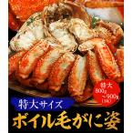 ボイル 毛ガニ 姿 特大 800g〜900g かに カニ 蟹 毛がに 毛蟹 ボイル 訳あり お歳暮 BBQ