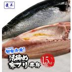 寒ブリ 半身 おろし済み 約1.5kg〜 九