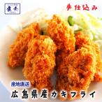 広島県産 牡蠣フライ 20粒入 かき カキフライ 500g 大粒 手仕込み 約25g×20個 袋ノ内 国産 産直 産地直送 北吉水産