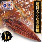 超特大 うなぎ蒲焼 1尾380g〜400g前後 