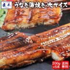 うなぎ長焼 大サイズ 炭火焼 200g×5尾 中国産 真空パック ウナギ 鰻 蒲焼 土用 丑の日 化粧箱 ポイント利用 お試し商品 サンプル