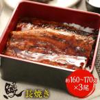 薩摩川内 国産炭火焼うなぎ長焼き 徳大サイズ 約160〜170g×3尾 国産うなぎ 在宅 母の日 父の日 敬老 ポイント利用 お試し商品 サンプル