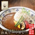 ショッピングレトルトカレー 食研カレー 日本食研 200g×30袋 欧風ビーフカレー 徳用 ケース販売 業務用 レトルトカレー