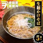 年越しそば 生麺かけそば 5食 生めん そば 100g×5玉 蕎麦 ソバ 生そば 日本蕎麦 ポスト投函 生麺 簡単 歳末 お歳暮 年末グルメ 贈答 迎春