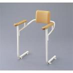 TOTO [EWCS222-8] для туалета поручень ( система модель ).. соус есть 