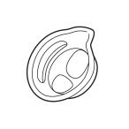  Panasonic Panasonic пар . входить контейнер Attachment A. входить маска EWKA65X3717