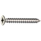 三栄水栓[SANEI] アクセサリー ボルト・ビス 手すり木ビス 【R42-20-6X50】