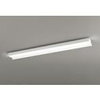 オーデリック ベースライト 【XL501011R1D】【XL 501 011R1D】