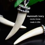 マンモスの牙 ネックレス ペンダントトップ ウーリーマンモス 種類お任せ silver925製チェーン付き マンモスの骨 化石