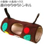  Rainbow (Rainbow) лес. .... тоннель Brown ( Brown -)