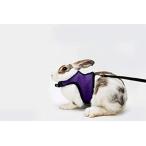 KAYTEE ( Katie -) мелкие животные для комфорт Harness стрейч Lead имеется мышь morumoto хорек и т.п. (M ( шея вокруг 18-23