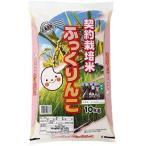 精米北海道産 契約栽培米 白米 ふっくりんこ 10kg 令和元年産 (10kg)