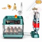  newest automatic . egg vessel in kyu Beta -. temperature vessel birds exclusive use . egg vessel .. vessel automatic rotation egg type a Hill chicken egg a Hill .... temperature .. vessel 