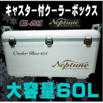 大容量大型 クーラーボックス 60L ２