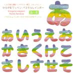 どれでも5枚以上でメール便送料無料！あ行 か行 さ行 アイロンで簡単貼り付け♪【ワッペン市場】ワッペン パステル レインボー あいうえおかきくけこさしすせそ