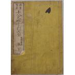  10 . история . знак . большой весь внизу шт .7