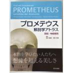  Pro mete незначительный анатомия Atlas 
