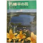八幡平の花
