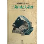 &lt;..&gt; и система 