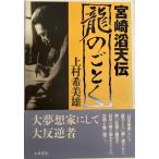  дракон. ...- Miyazaki . небо .[ монография ] сверху .. прекрасный самец 