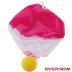 **0 <eba новый > Evernewpala Shute мяч (2 штук комплект ) ETE160 школа физическая подготовка сопутствующие товары reklie-shonETE160