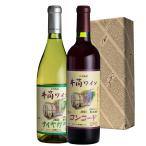 井筒酸化防止剤無添加季節限定ワイン2025国産ワイン赤・白飲み比べセット2...