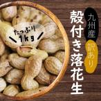 訳あり 国産殻付き落花生 1kg