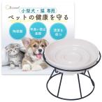 ショッピング雑誌掲載 [雑誌掲載モデル]Bicieeel 小型犬 猫 専用 早食い防止 食器 陶器 皿 お手入れ簡単 清潔 餌入れ フードボール 犬 猫 ペット