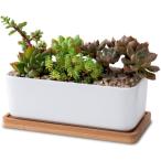 Crystal craft цветочный горшок суккулентное растение горшок суккулентное растение .... кактус керамика горшок посадочная машина прямоугольный модный стиль цветочный горшок керамика [