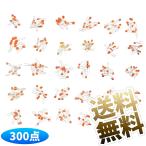 【各種10本 計300本】 セラミックコンデンサ 電子工作 部品 アソート 30種 レッド×シルバー