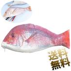 鯛 お魚ペンケース 筆箱 化粧 ポーチ アクセサリー ケース 小物入れ お魚 さかな 24×10cm