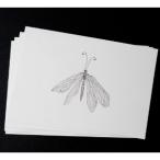  Kurashiki дизайн план . маленький сырой кимоно открытка 5 вид входить [ почтовая доставка соответствует ]