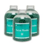 【3本セット】北見ハッカ通商 入浴剤 Sel de Menthe (セル・デ・メンタ) 徳用ボトル 3本セット 1350g