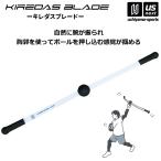 キレダスブレード KIREDAS BLADE 野球 トレーニング用品 投球練習 投球ギア (自社)(メール便不可)
