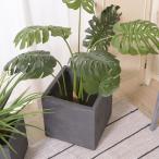 ショッピングプランター プランター カバー 鉢 ベース 観葉植物用 屋内 屋外 キューブ型 四角 立方体 グレー かっこいい インテリア エクステリア ガーデニング 園芸 容器 装飾 植木鉢