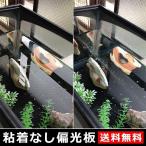 偏光膜 PL 偏光板 ドライブレコーダー スマホ カメラレンズ フィルム 夏休み 自由研究 課題 宿題 実験 粘着なし 100×100mm 0.25mm厚 5枚セット