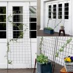  сад забор зеленый занавески для железный производства установить .. веранда двор садоводство плющ tsuta растения роза 