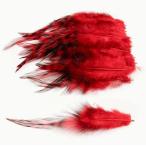 ショッピングレッドウイング 20本 カラフルな 天然羽根 鳥毛 レッド