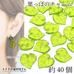 очарование лист leaf бисер 15mm примерно 40 шт leaf бисер светло-зеленый лист .. растения зеленый .... материалы магазин san ручная работа детали очень популярный аксессуары детали 