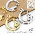Yahoo! Yahoo!ショッピング(ヤフー ショッピング)ストーンペンダント 猫 三日月 チャーム クリアカラー 変色しにくい 猫雑貨 2個