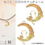 ne. три день месяц очарование 25mm 2 шт абрикос orange серия кошка цветок звезда месяц ночь пустой эмаль очарование аксессуары детали .... материалы магазин san ручная работа детали 