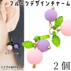 フルーツ チャーム ピンク パープル 20mm 2個 果物チャーム ブルーベリーカラー アクセサリーパーツ うさぎの素材屋さん ハンドメイドパーツ 葉っぱチャーム
