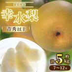 お中元 ギフト 2025 幸水梨 愛知県産 約5kg(7〜12玉) 等級青秀以上 とよたの梨 知る人ぞ知る果物の名産地からお届け 御中元 夏ギフト
