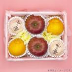 Sou.f casual .. фрукты набор фрукты фрукты набор . еда . сравнение тщательно отобранный случайный 